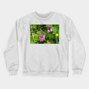 English Red Campion and raindrops Crewneck Sweatshirt